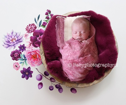 newborn photographer Northern Ireland 
